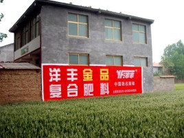  宁强如何让墙体广告展现最大化效果