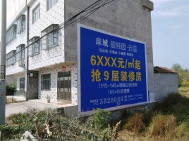  宁强墙体广告质量分析