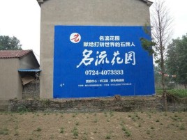 宁强农村墙体广告的长尾效应