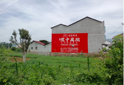  宁强做墙体广告的意义