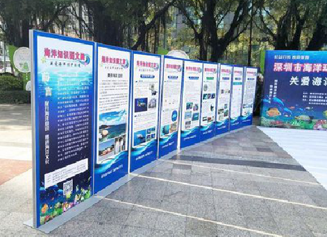  宁强KT板的种类和知识。